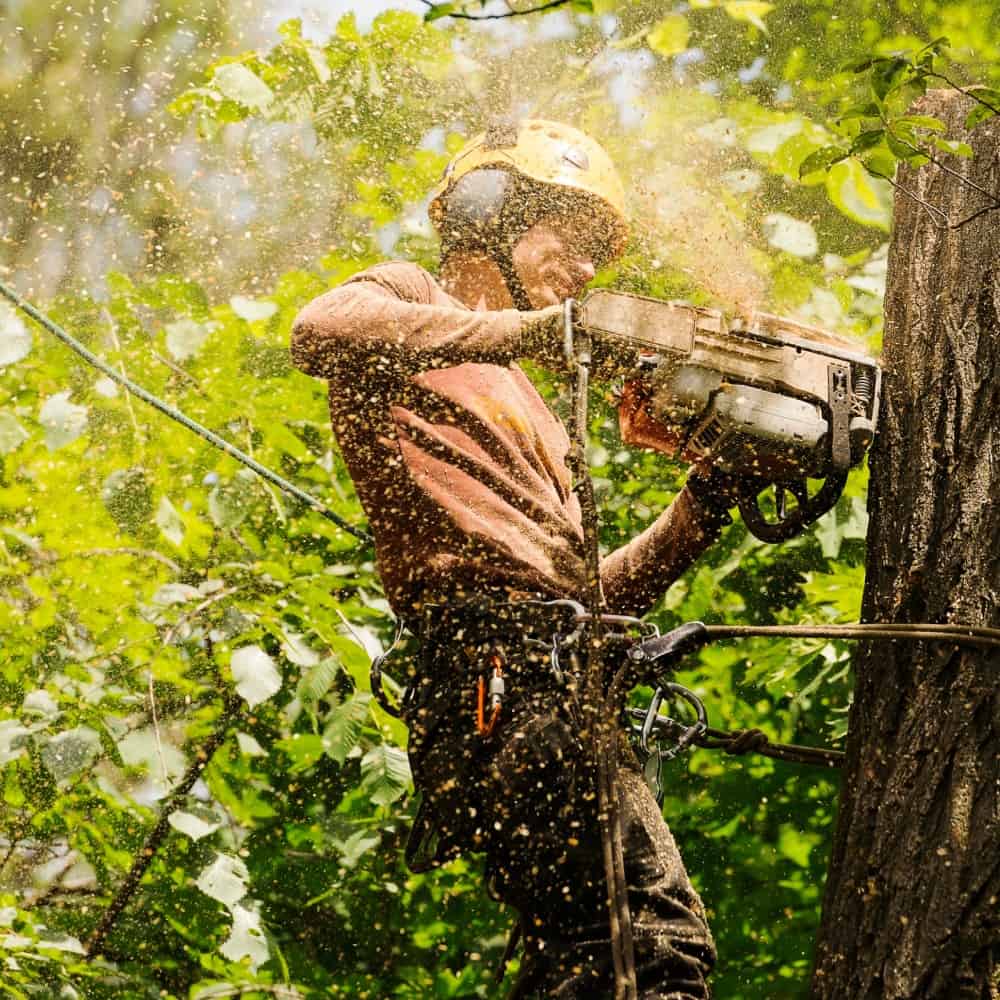 Arborist Insurance Pennsylvania