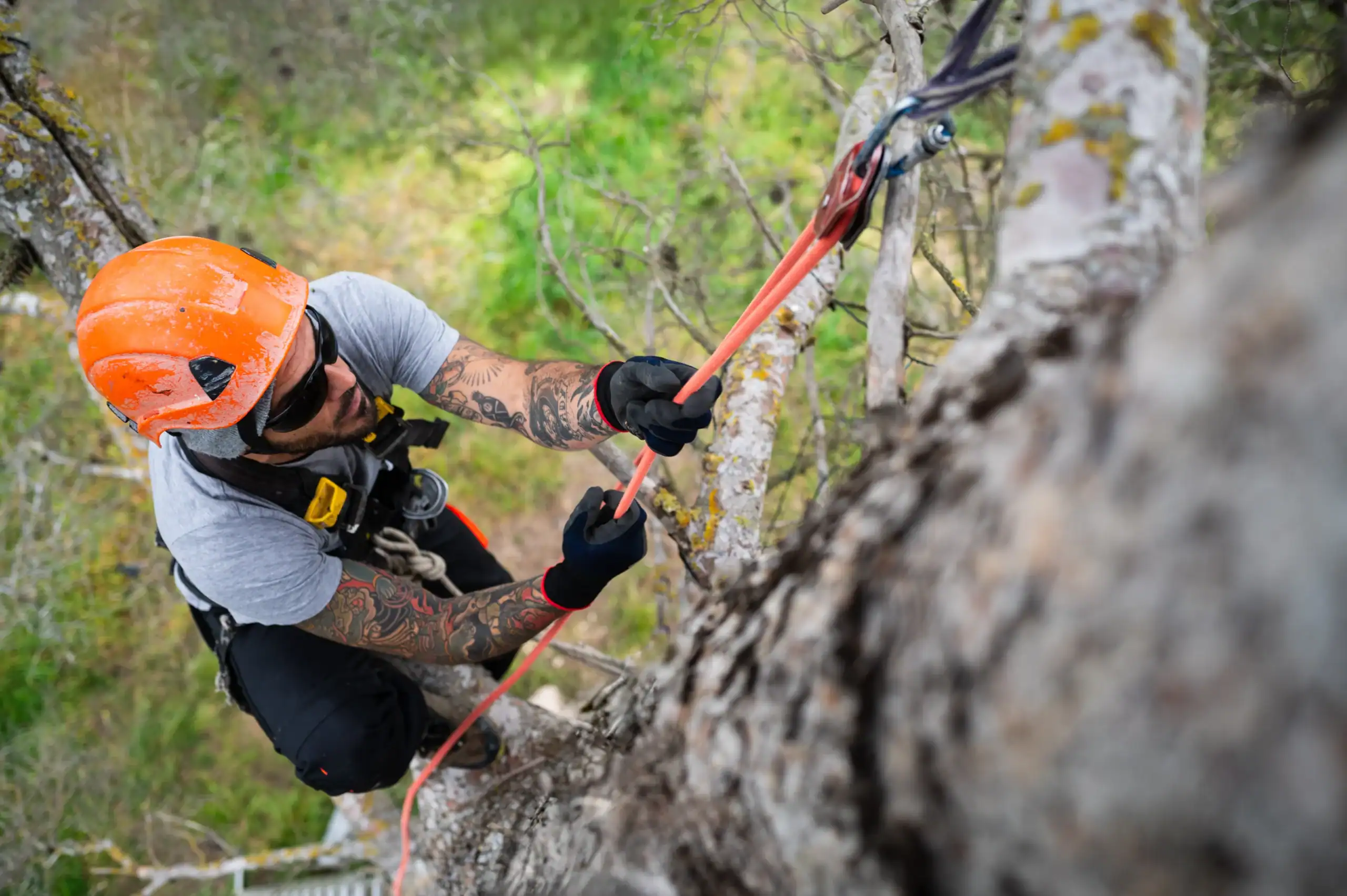 Arborist Insurance Pennsylvania